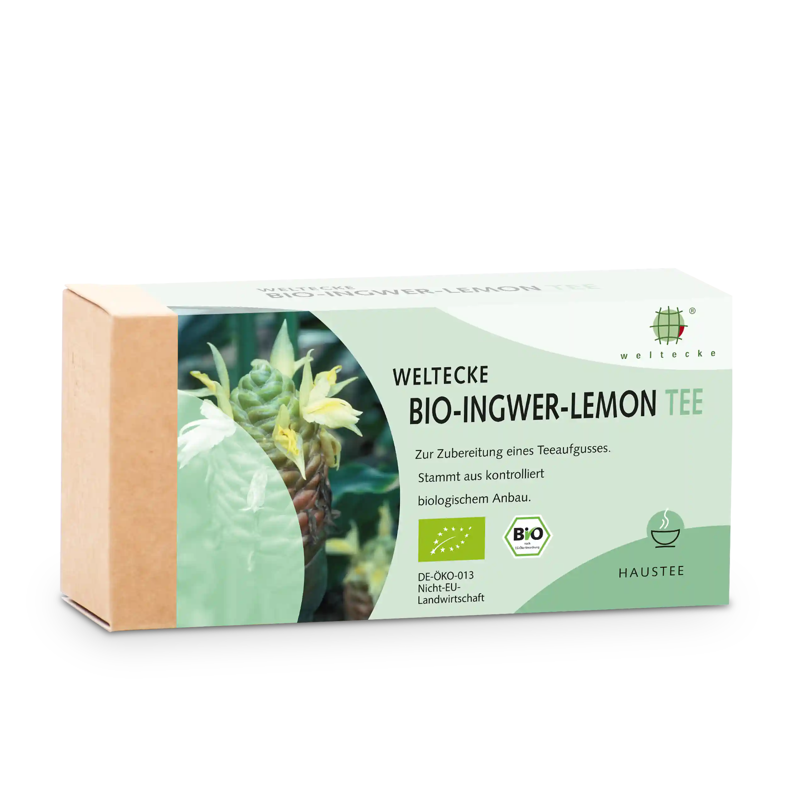 Organic Ginger-Lemon Tea filter bag packaging